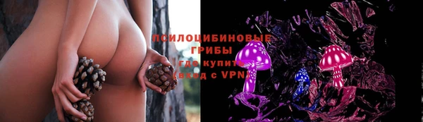 ПСИЛОЦИБИНОВЫЕ ГРИБЫ Болохово