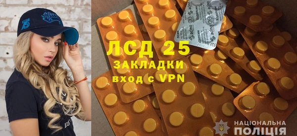 скорость Болотное