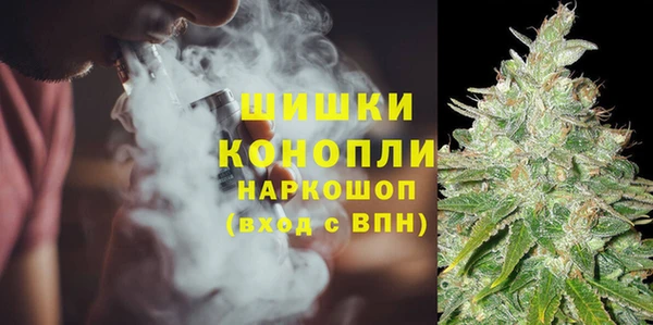 ПСИЛОЦИБИНОВЫЕ ГРИБЫ Болохово