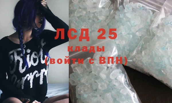 ПСИЛОЦИБИНОВЫЕ ГРИБЫ Болохово