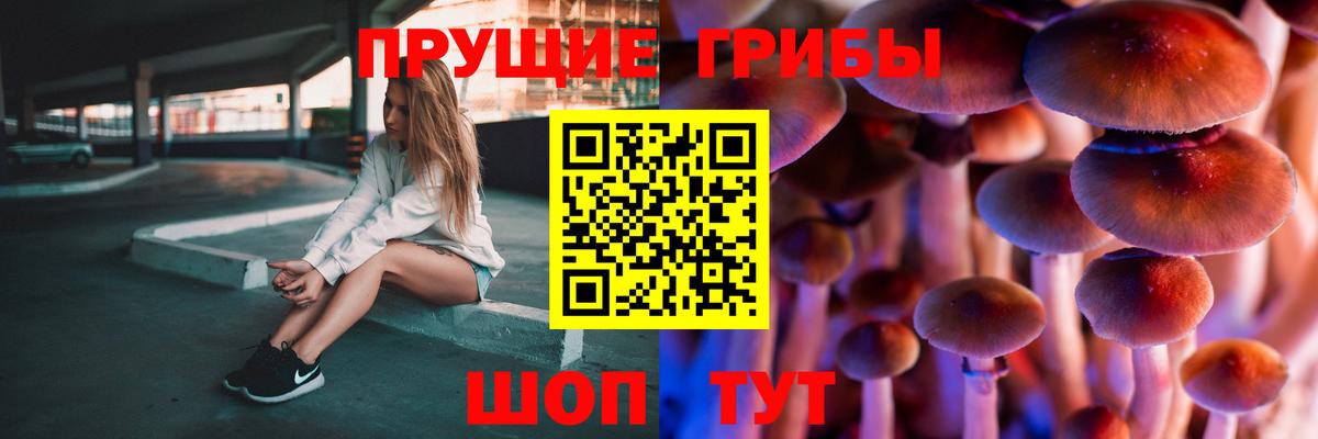 Галлюциногенные грибы Psilocybine cubensis  дарнет шоп  Красноармейск  Вход с VPN 